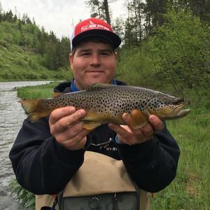 Meet your Posher, Taylor